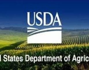 Relatório de Oferta e Demanda do USDA (Janeiro/21)