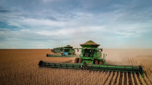 Colheita America e Clima Seco no Brasil, ditam o mercado hoje!